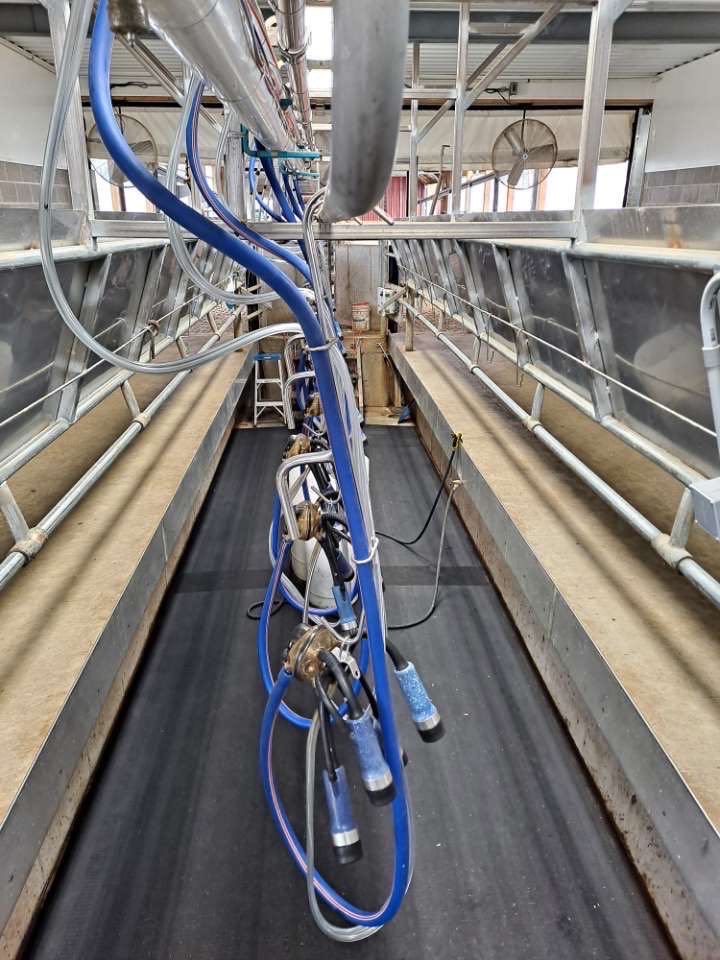 Quality used milking parlor mats made fromconveyor belts